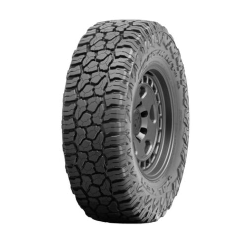 305/55 R20 125/122R WPRT01 Falken 12PR R/T LT TL BLK THA