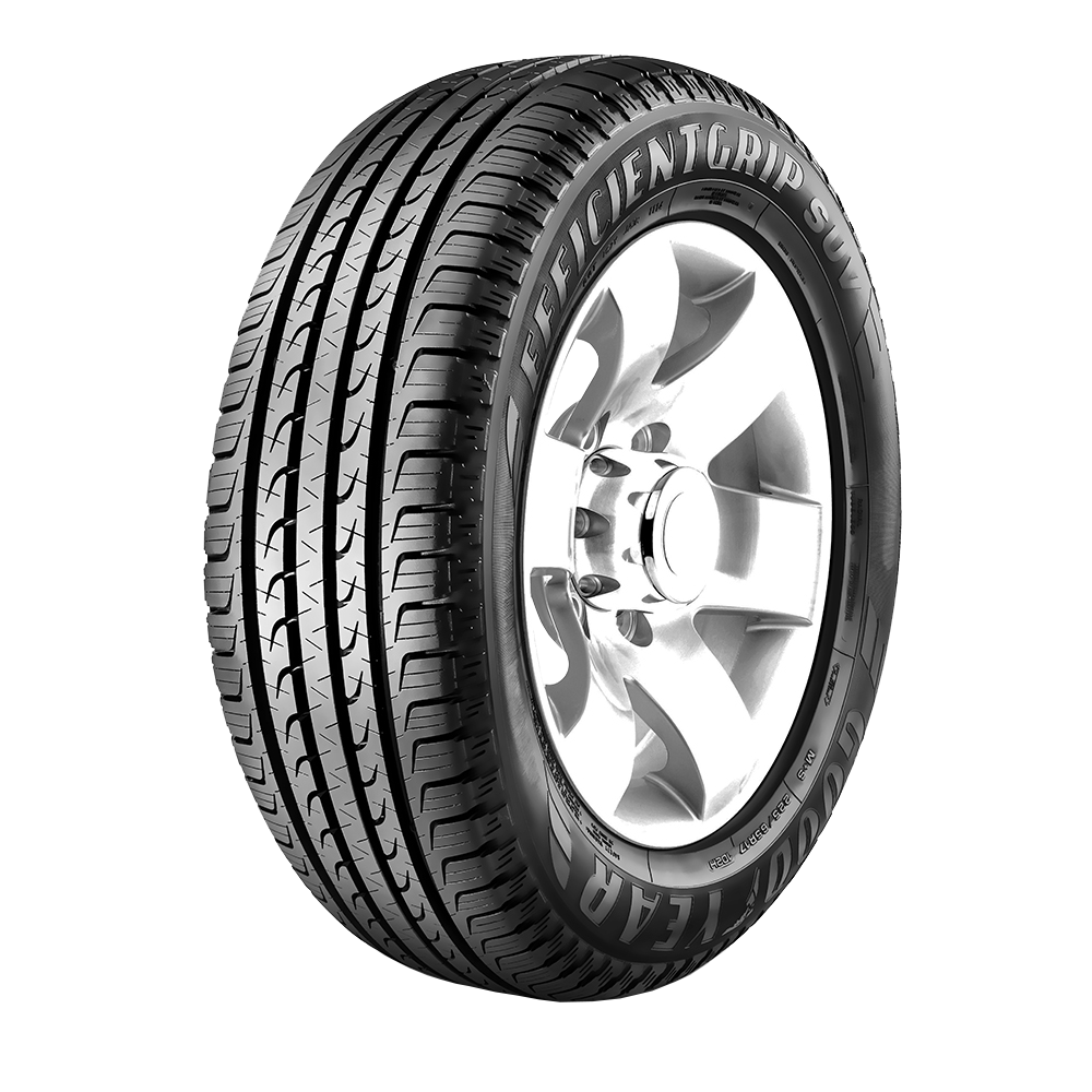 235/55 R19 EFFICIENTGRIP SUV 105V XL
